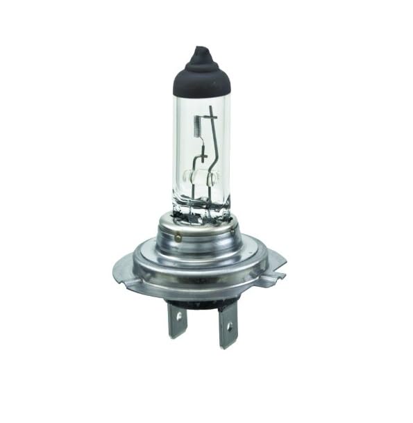 ☆h7☆ Amazon.com: 269 Motorsports H7 12V 55W Headlamp Bulb