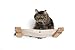CatastrophiCreations Cat Lounge Hammock Wall Mounted Lounger for Climb and Play Furniture Cat Tree Shelves