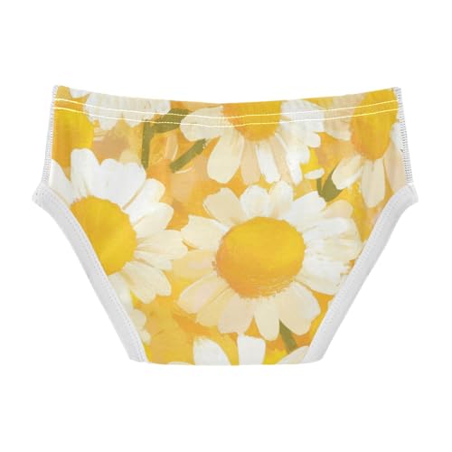 Daisy Toddler Boys Soft Kids Underwear Cute Children Panties2