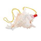 Garneck Sifflet Coquillage De Conque Naturelle Corne Décorative Et Instrument De Souffle ...