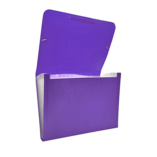 Raylu Paper® - Carpeta clasificadora tipo acordeón para documentos con 12 compartimentos, archivador de plástico opaco con separadores para oficina (Violeta)