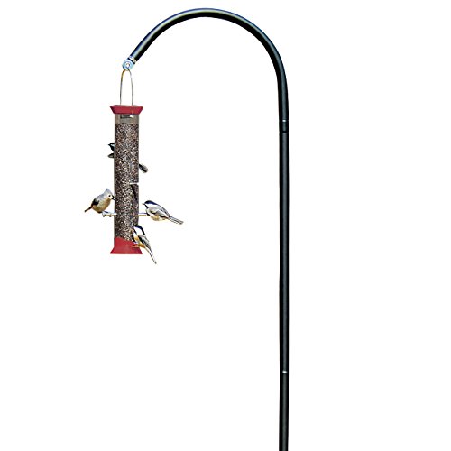 Droll Yankees Shepherd Hook, Bird Feeder Hanger Pole Outdoor Hanging Metal Stand, 77 Inch, Black, SEP