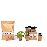 KULTIVERI Set de Cultivo con Macetas de Germinación Biodegradables. CREA tu Propio Huerto en Casa. (Lechugas y Calabacines)