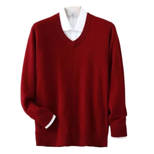 Mens 100 Percent Cashmere V Neck Pullover Long Sleeve Knitted Sweater Business Loose Fit Jumper Top - Main Image