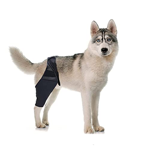 Image of balacoo Dog Knee Brace Adjustable Neoprene Leg Sleeve with Breathable Mesh Wide Strap Support for Foreleg or Hindleg for Injury Recovery Circulation Puppies and Senior Dogs