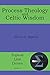 Process Theology and Celtic Wisdom (Topical Line Drives)