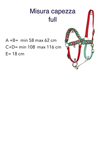 Cabezada Aguzzi para caballo de Biothane Basic y Paracord 550 hecho a mano 5