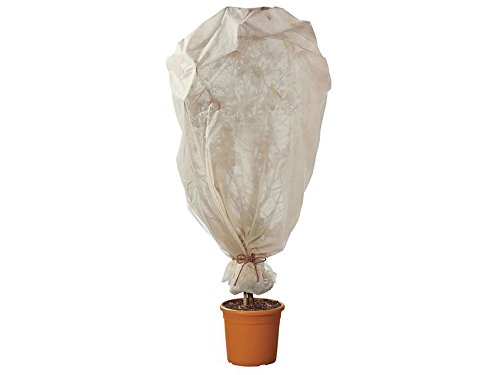 4u00a0x Plantas Protección contra Heladas Fieltro 150u00a0x 500u00a0cm invierno Protección Frost (marrón)