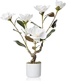 2FT Artificial Magnicana Tree in Pot, Realistic White Magnolia Flowers with Greenery Leaves, Faux Potted Plant for Home Office Décor, Perfect for Indoor Outdoor Use