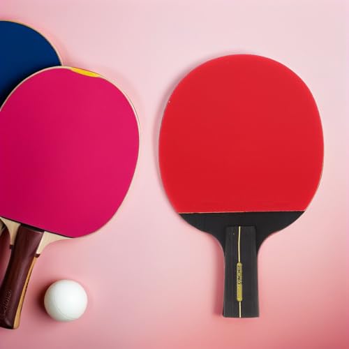 Raquette de tennis de table portable avec son kit complet de ping-pong