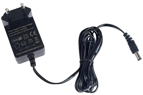 12V Ladegerät für Auffahrspielzeug, 12V Batterieladegerät für Kinder Elektroauto-Motorrad, 12 Volt Ladegerät für Power Wheels Elektrofahrräder Zubehör