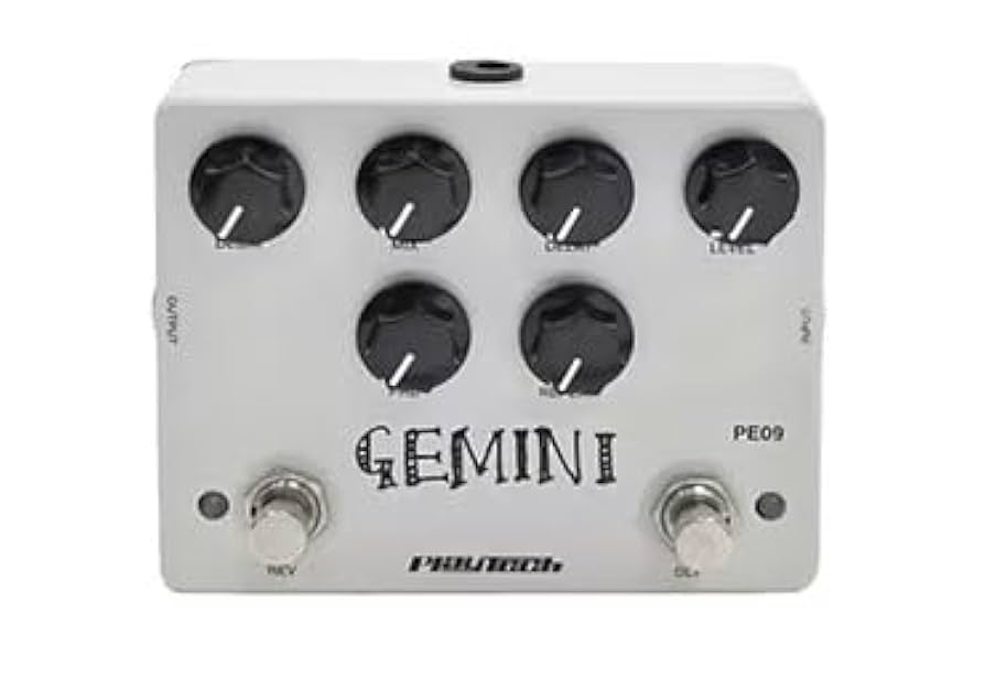 ESP ディレイリバーブ　エフェクター 多機能 Amazon | PLAYTECH (プレイテック) ギターエフェクター リバーブ