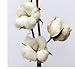 Cotton Stem - Pack of 3 - Floral Cotton Wired Stem / Stalk - Bulk Wholesale Pricing
