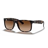 Ray Ban mixte adulte RB4165 710/13 51 Montures de lunettes, Marron (Havana Claro), 51