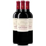 Château Yon Figeac Saint-Emilion Grand Cru rosso 2019 - DOP - Bordeaux - Francia - Vitigni Merlot,Cabernet Franc,Petit Verdot - 3x75cl