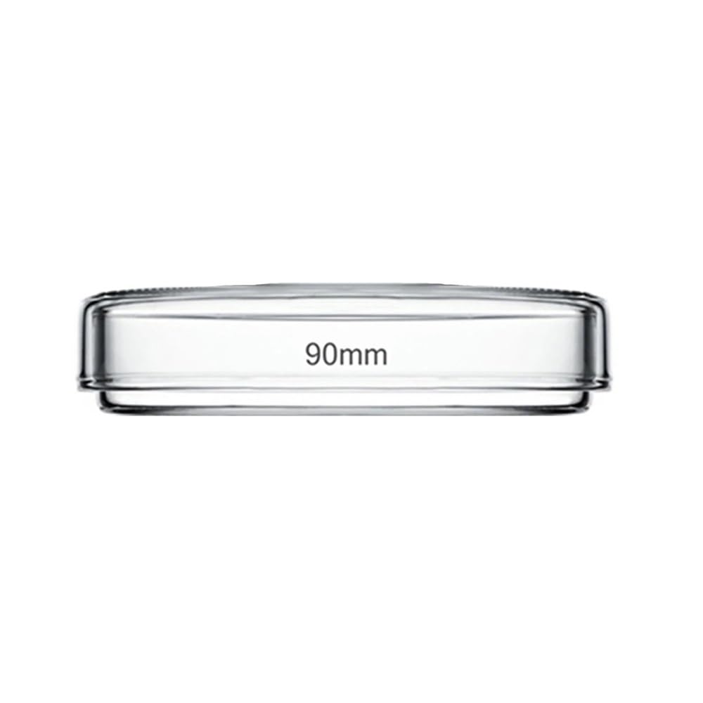 Attrezzature e forniture di laboratorio Piastra di coltura in vetro borosilicato con coperchio, laboratorio chimico Gassware