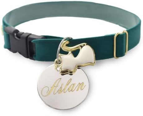 Coleira Bonita Gato e Plaqueta Identificação Nome e Telefone PETS...