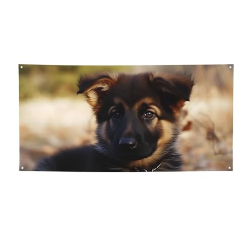 EFJoi[ p[eB[tbO ʐ^Bewi wioi[ W[}VFp[h q TC ʐ^ oi[ tFXp a K[fp[eB[pi LOi ǂ̑ 71 x 35C`