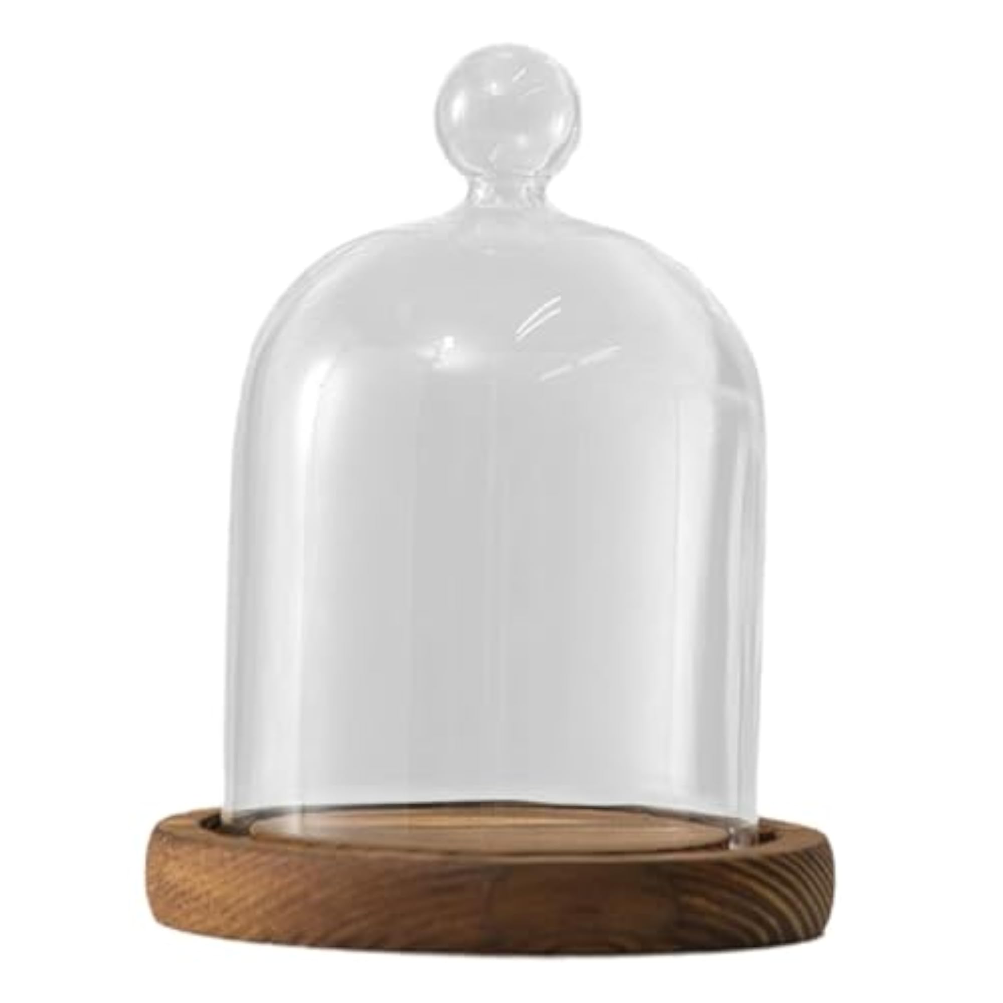 Clear Glass Dome Bell Jar for Centrepieces, Multipurpose
