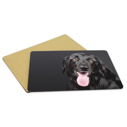 Set de table liège Labrador Noir : napperons de qualité supérieure et durables - 5