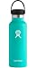 Hydro Flask 18 oz Double Wall Vacuum Insulated Stainless Steel Leak Proof Sports Water Bottle, Standard Mouth with BPA Free Flex Cap, Mint