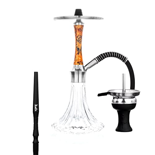 Aladin Shisha Epox 360 Pro Golden Wood, Wasserpfeife mit Edelstahl-Rauchsäule, Diffusor, Schlauch-Set, Kamin-Kopf