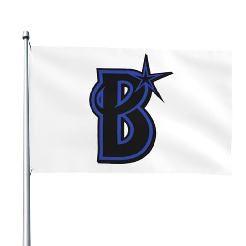 lDeNAxCX^[Yi41j 싅̊   ^pi Ԍ 뉀 LO 4x6ft/122x183cm