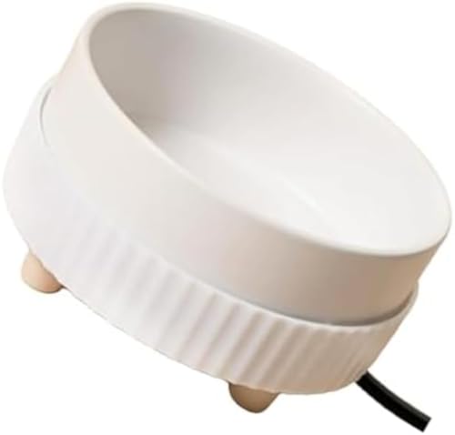 BianstarybgpAp{EAzAybgpہAOpybgpAybgpgCBdCKvŁALAAɓKĂ܂B