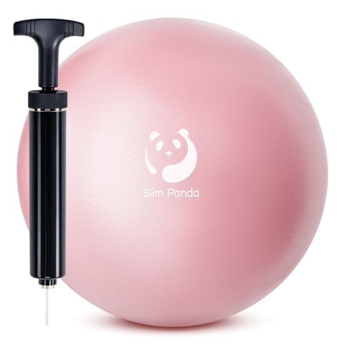 Slim Panda Ballon Pilates Petite,23 cm Anti-Slip Ballon de Gymnastique avec Pompe,Soft Yoga Ball Équilibre pour,Fitness,Entraînement à l'équilibre (Buse...