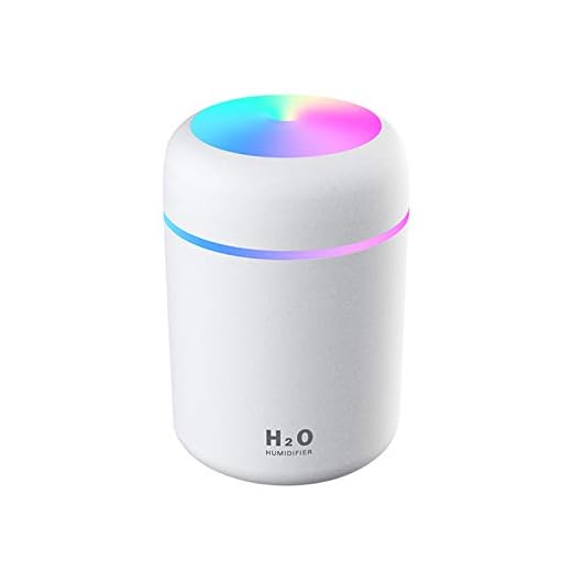Entweg Humidificador de Niebla, 300 ml, con Luz Nocturna Colorida Portátil, Apagado Automático Silencioso, Alimentado por USB para el Dormitorio, la Oficina, Casa,Coche