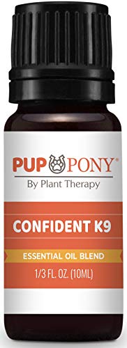 Plant Therapy Pup & Pony - Confident K9 Essential Oils Blend, Natural Aromatherapy for Dogs & Horses - Separation and Anxiety Support Blend - 100% Pure 10 mL (1/3 oz)