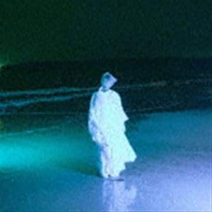 Amazon.co.jp: BUTTERFLY EFFECT（通常盤） 佐藤千亜妃 : おもちゃ
