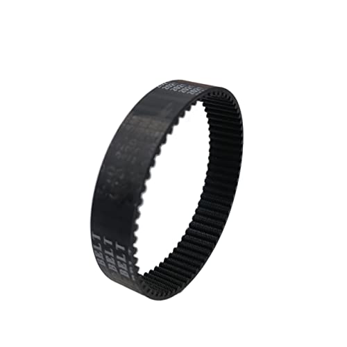 Gabar Havik met gesloten ring - Micronisus gabar - 0×0×0 mm - Catawiki