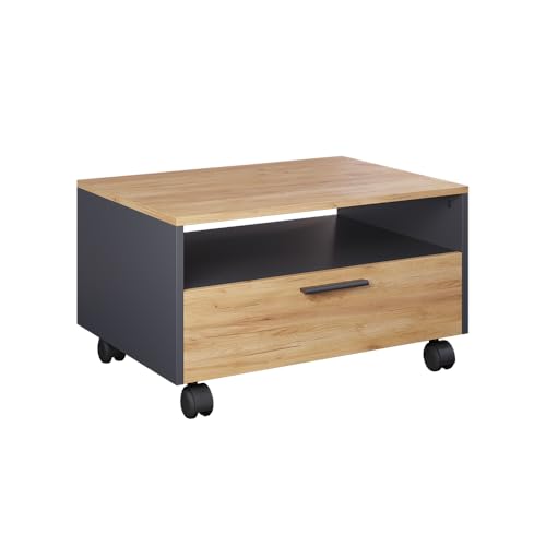 Vicco Table Basse Bibo, Anthracite/chêne doré, 70x52.4cm, déplaçable sur roulettes pour Un Placement Flexible dans l’Espace de Vie