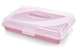 Best House | Plastic Cake Storage Box | PINK | 1 Pc | BPA Free | Cake and Pastry Carrier With Handle | Rectangular Lockable Food Container - L 45cm x W 30cm x H 10cm, Pack of 1