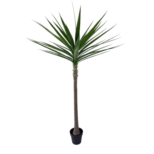 Alonfale 6FT Artificial Yucca Tree, Realistic Fake Agave Plant for Indoor & Outdoor - UV Resistant Faux Tree with Weighted Base, Zero Maintenance Home Office Decor (Green, 6 Feet)