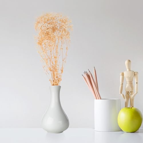 Ramo de flores secas Babys Breath 120g natural beige miniatura 5