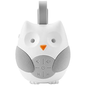 Skip Hop Stroll and Go Portable Baby Soother, Owl