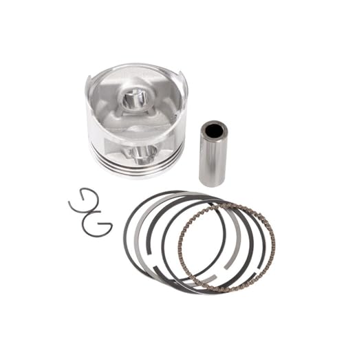 XV250 Virago 1989-1993 XC125 XVS250 XV250S psXgOLbg 49mm 49.25mm .50mm .75mm 50.00mm(49.50mm)