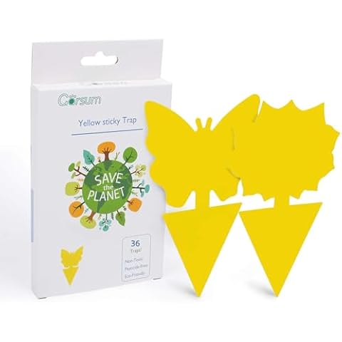 Garsum Fruit Fly Sticky Trap for Indoor and Outdoor, 36 Pack Fungus Gnat Killer for Houseplant,Mosquitos, Flying Insect, White Flies Cover