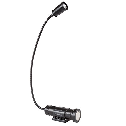 Stalwart Lamp, CREE LED Work Light with 550 Lumen, Two Magnet Bases and Flexible Gooseneck for Desks, Reading and Workbench (Black)