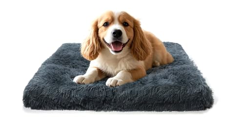 MDDK DY Cuccia per Cani Piccoli da Interno, Letto Sfoderabile e Lavabile in Peluche Morbido, Cuscino Confortevole con Base Antiscivolo, Grigio Scuro 50x40x5 cm