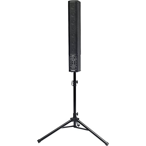 Fishman Solo Amp Amplificateur Instrument Acoustique Noir Haute Fidélité Performance