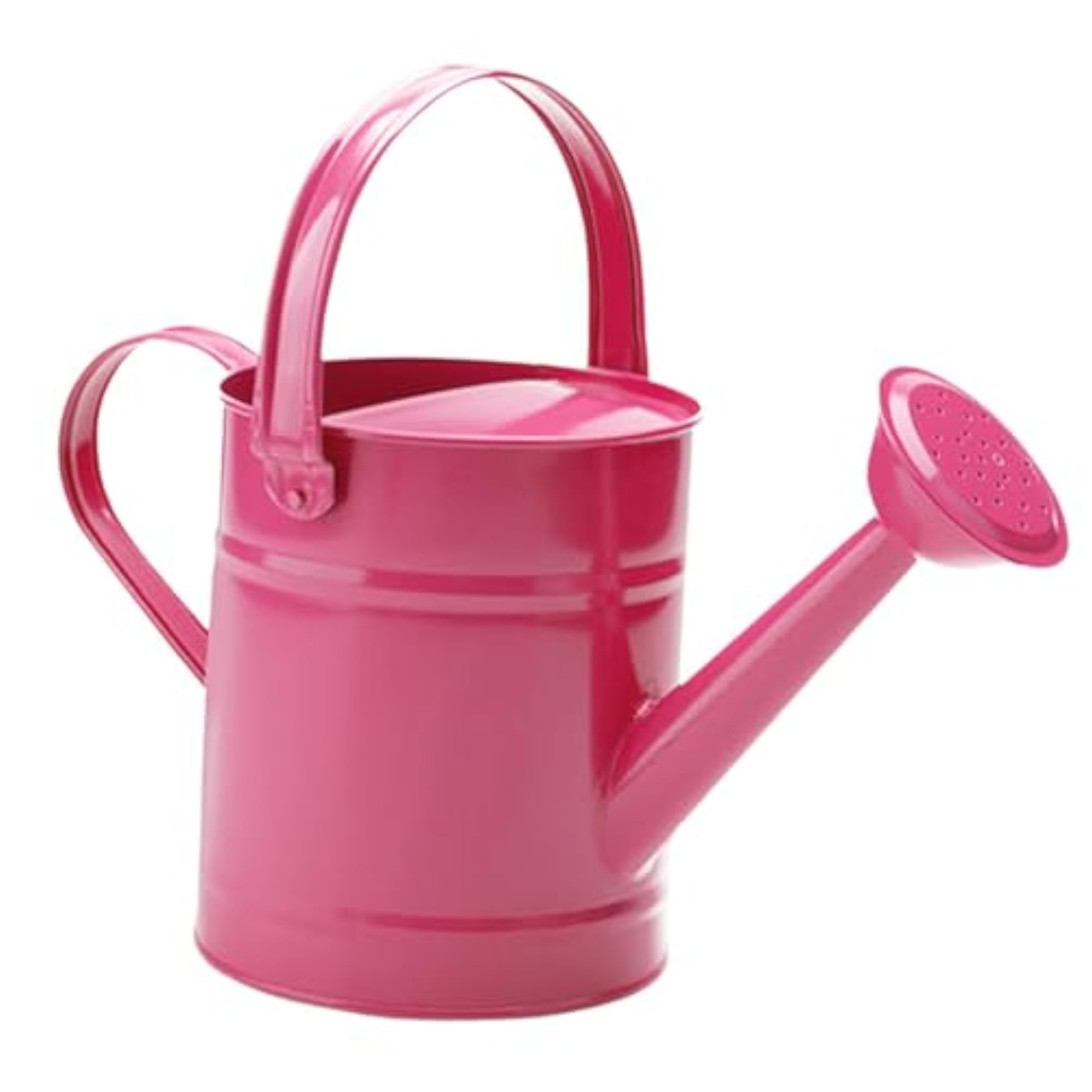 Leakproof Garden Watering Can for Home & Backyard