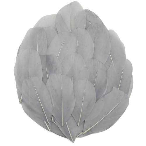 50 Pcs Gray Dyed Feathers Natural Goose Feathers Bulk, 2-3 Inch Craft Feathers Assorted Colors, Centerpieces Feahers for Jewelry Making, Halloween Costume,...