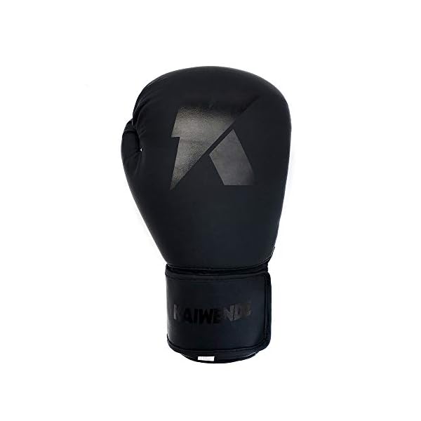 Boxing-Gloves-6oz-8oz-10oz-12oz-14oz-16oz-Punching-Bag-Mitts-Muay-ThaiUFC-MMA-Kickboxing-Fight-Training-Gloves-by-KAIWENDE-BX01 Boxing Gloves (6oz, 8oz, 10oz, 12oz, 14oz, 16oz) Punching Bag Mitts, Muay Thai, Kickboxing Fight Training Gloves by KAIWENDE-BX01 (HH-Black, 10 oz)