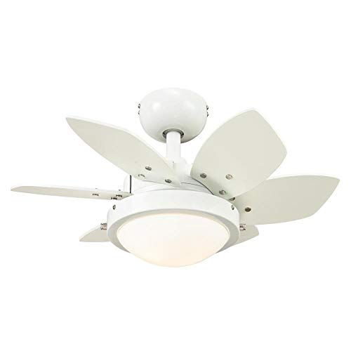 Best Review Ciata Lighting 24 Inch Quince Indoor Ceiling Fan in White Finish with Dimmable LED Light Fixture in Opal Frosted Glass with Reversible White/Beech Blades