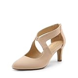 DREAM PAIRS Women's Pumps Closed Pointed Toe Kitten Heels Elegant Party Wedding Dress Shoes for Women,Size 6,Nude,DWUMPU2501