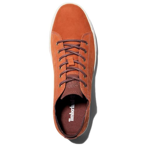 Baskets basses Timberland ADV 2.0 CUPSOLE MODERN OX - vue 8