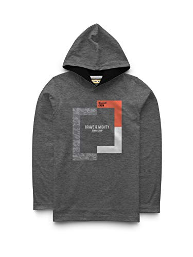 Image of HELLCAT Boys Cotton Full Sleeve Hooded Tshirt - Pack of 2